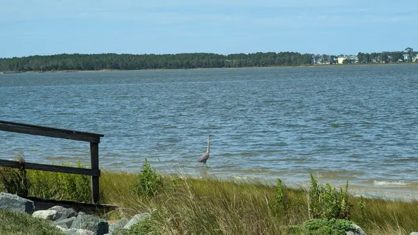 Bay Colony Indian River Bay Bay Colony Indian River Bay